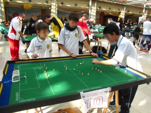 Subbuteo002